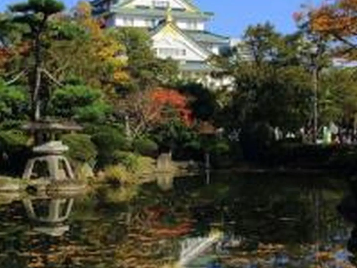 コンフィデンスロン402 Daire Osaka Japonya